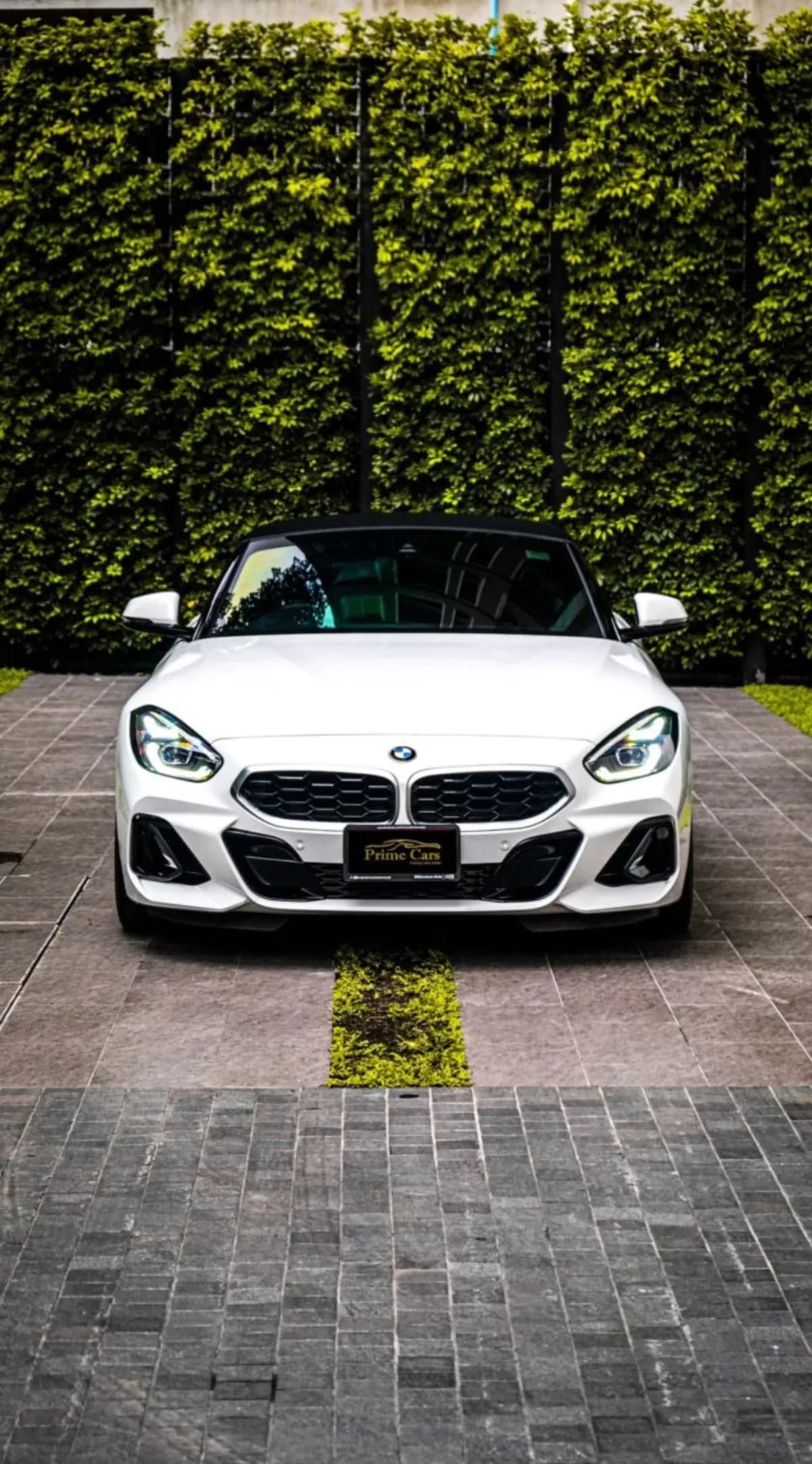 BMW Z4 30i (Blue)
